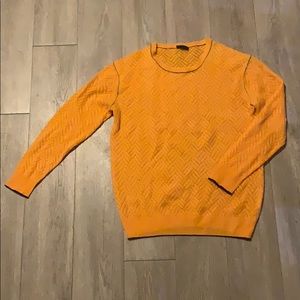 J Crew Collection Sample Sweater